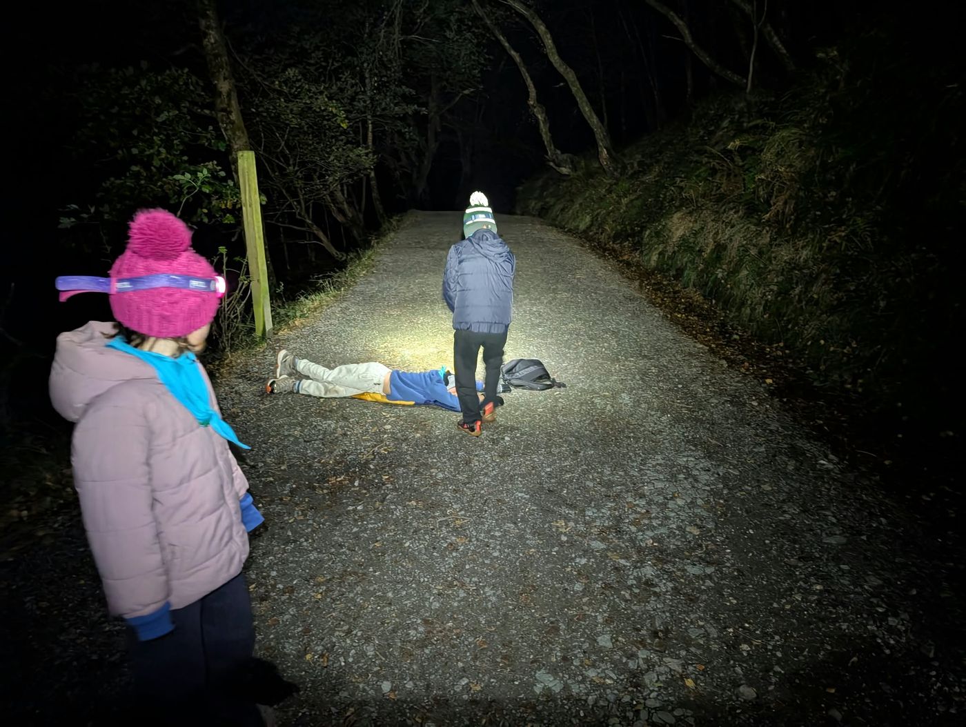 Beavers with head torches and neckers on a forest path at night