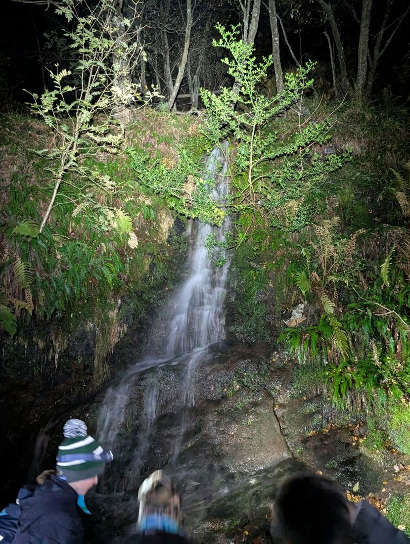 Beavers shining their torches on a waterfall in the woods at night