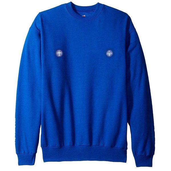 Royal blue Beavers jumper with Scouting Ireland badges